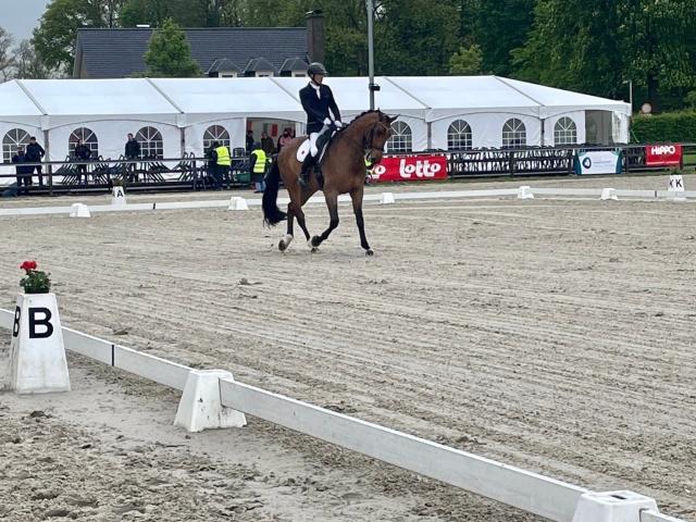 日本では馴染みの無い競技ですがパリパラリンピックの馬術会場はヴェルサイユ宮殿です！