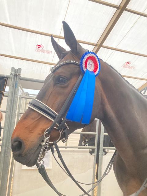 ヨーロッパ遠征３位入賞